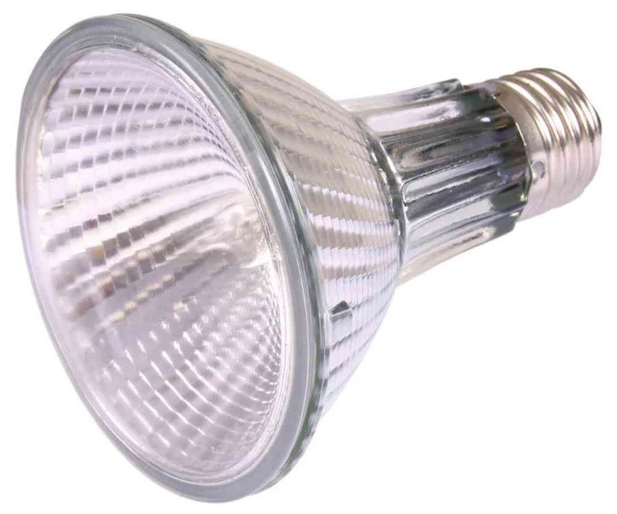 Trixie Halogen Heat Spot Pro – Halogen-Spotstrahler