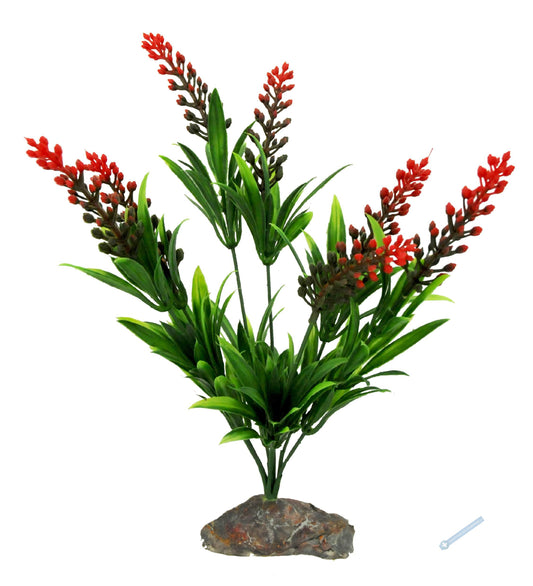 Lucky Reptile Jungle Plants – Borneogras mit roten Ähren, ca. 30 cm