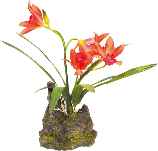 B-Ware Lucky Reptile Jungle Plants – Orchidee, lachsrot, ca. 30–35 cm