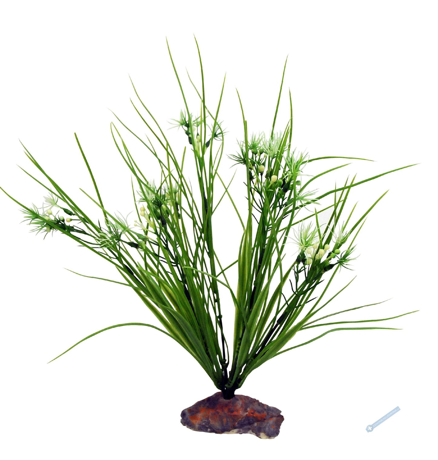 B-Ware Lucky Reptile Jungle Plants – Serengeti Gras mit weißen Blüten, ca. 30 cm