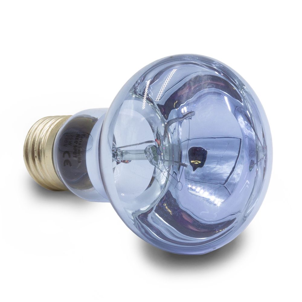 Terra Exotica Neo Spot Lampe