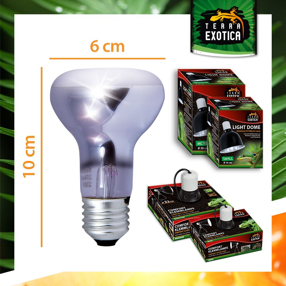 Terra Exotica Neo Spot Lampe