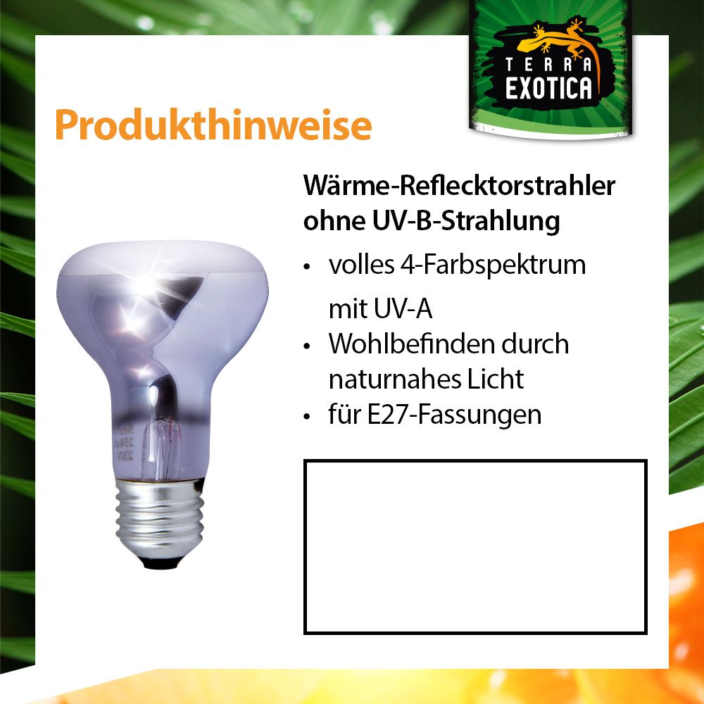 Terra Exotica Neo Spot Lampe
