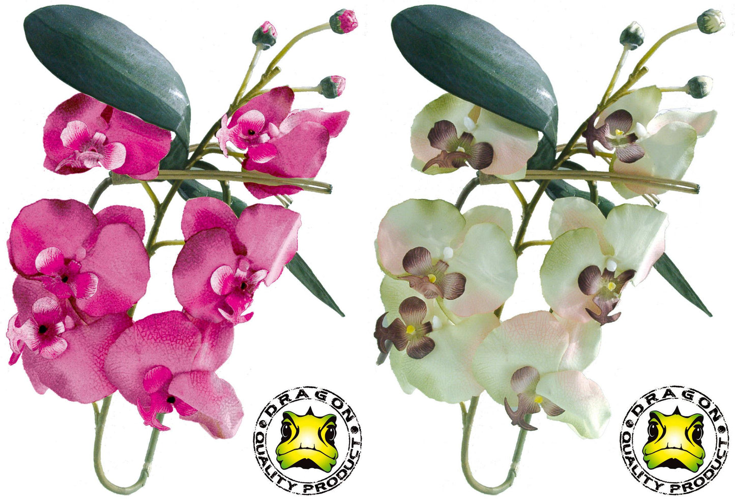 DRAGON Orchideenzweig mit Blüten ca. 80cm