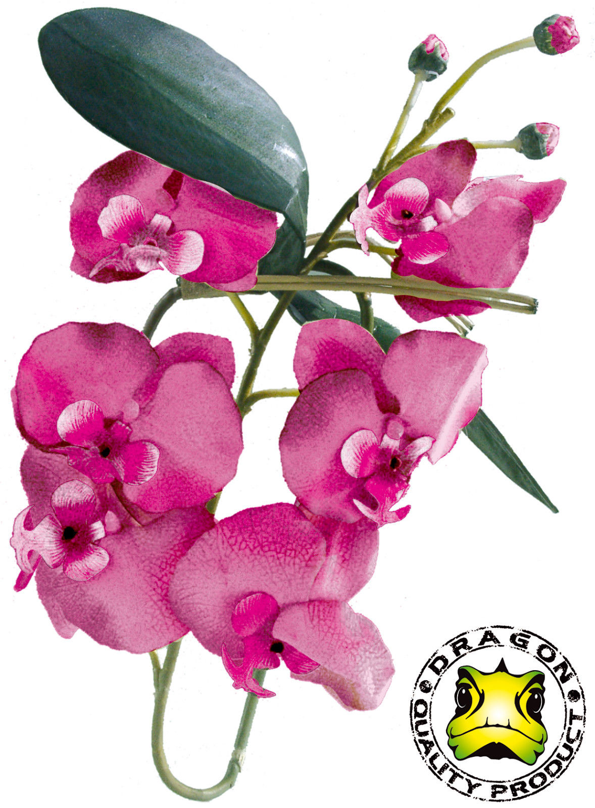 DRAGON Orchideenzweig mit Blüten ca. 80cm