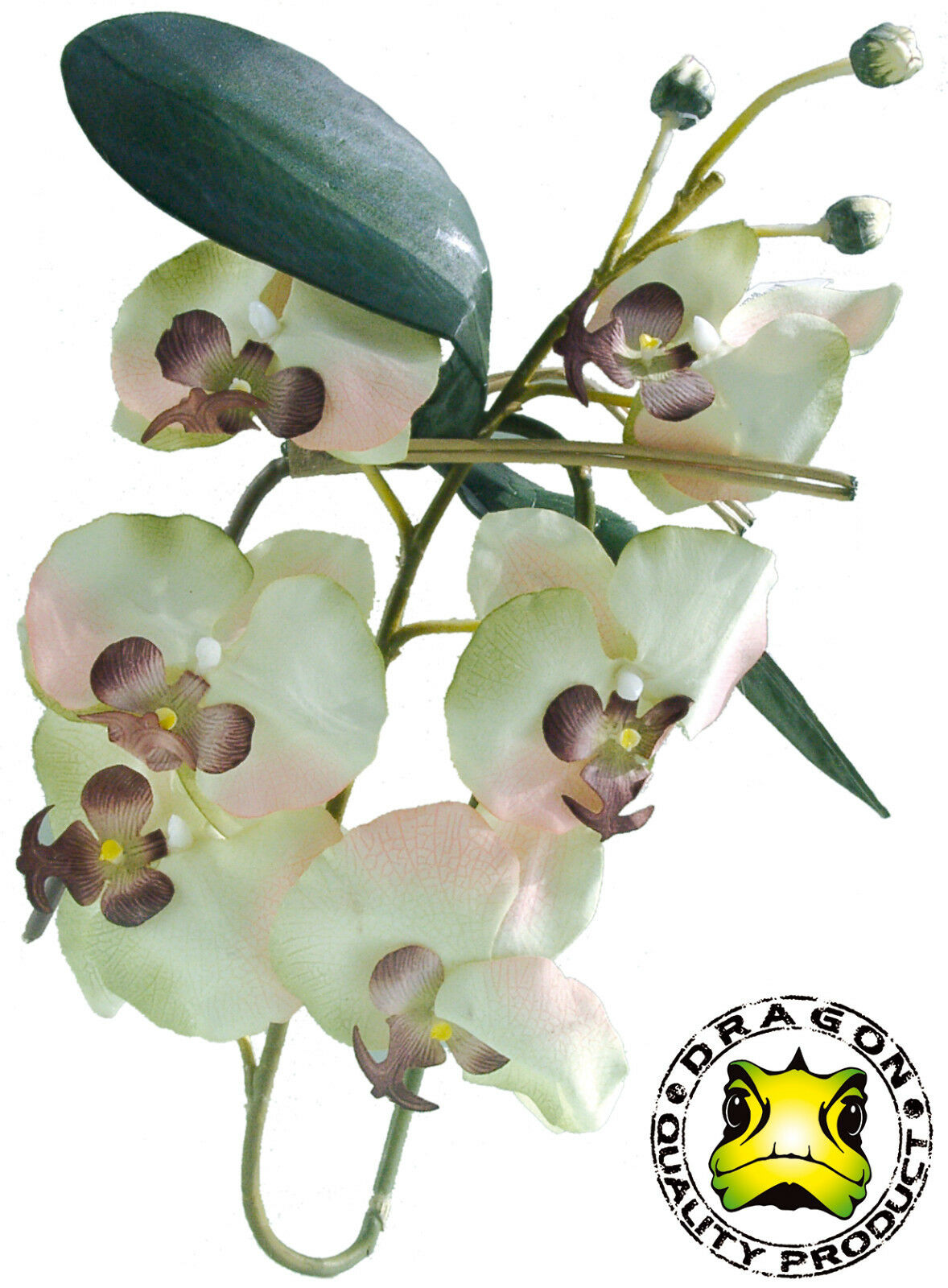 DRAGON Orchideenzweig mit Blüten ca. 80cm