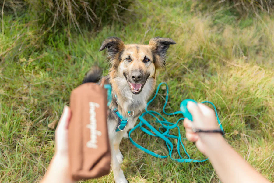 Produktbeschreibung: Trixie Preydummy