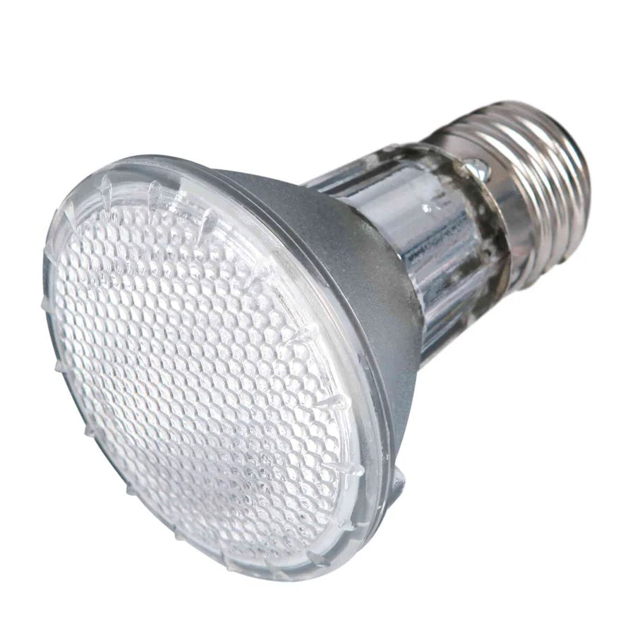 Trixie Halogen Heat Spot Pro – Halogen-Spotstrahler