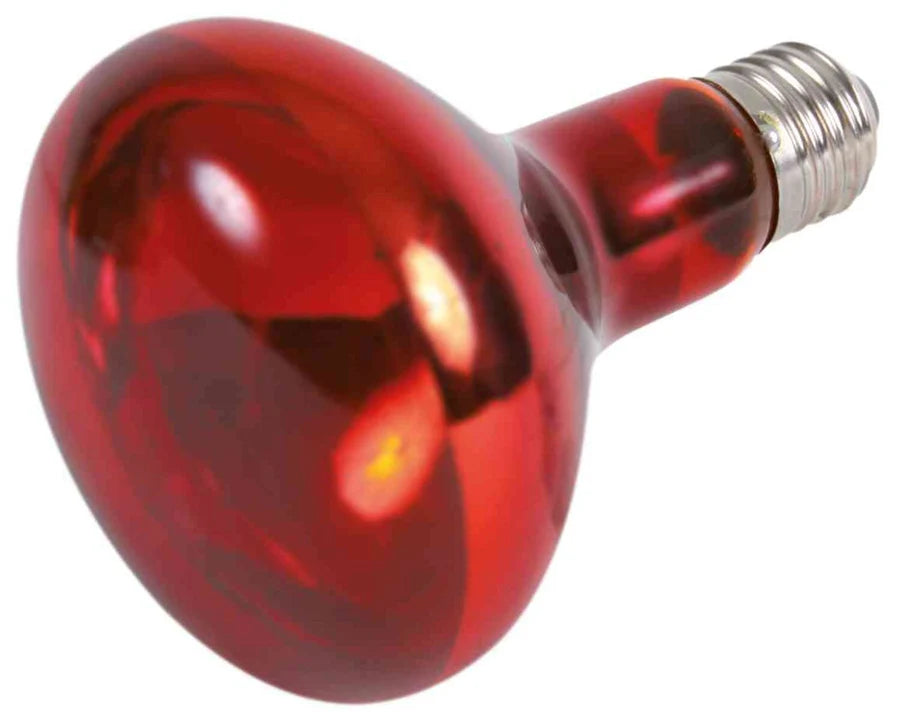 TRIXIE Infrarot Wärme-Spot-Lampe