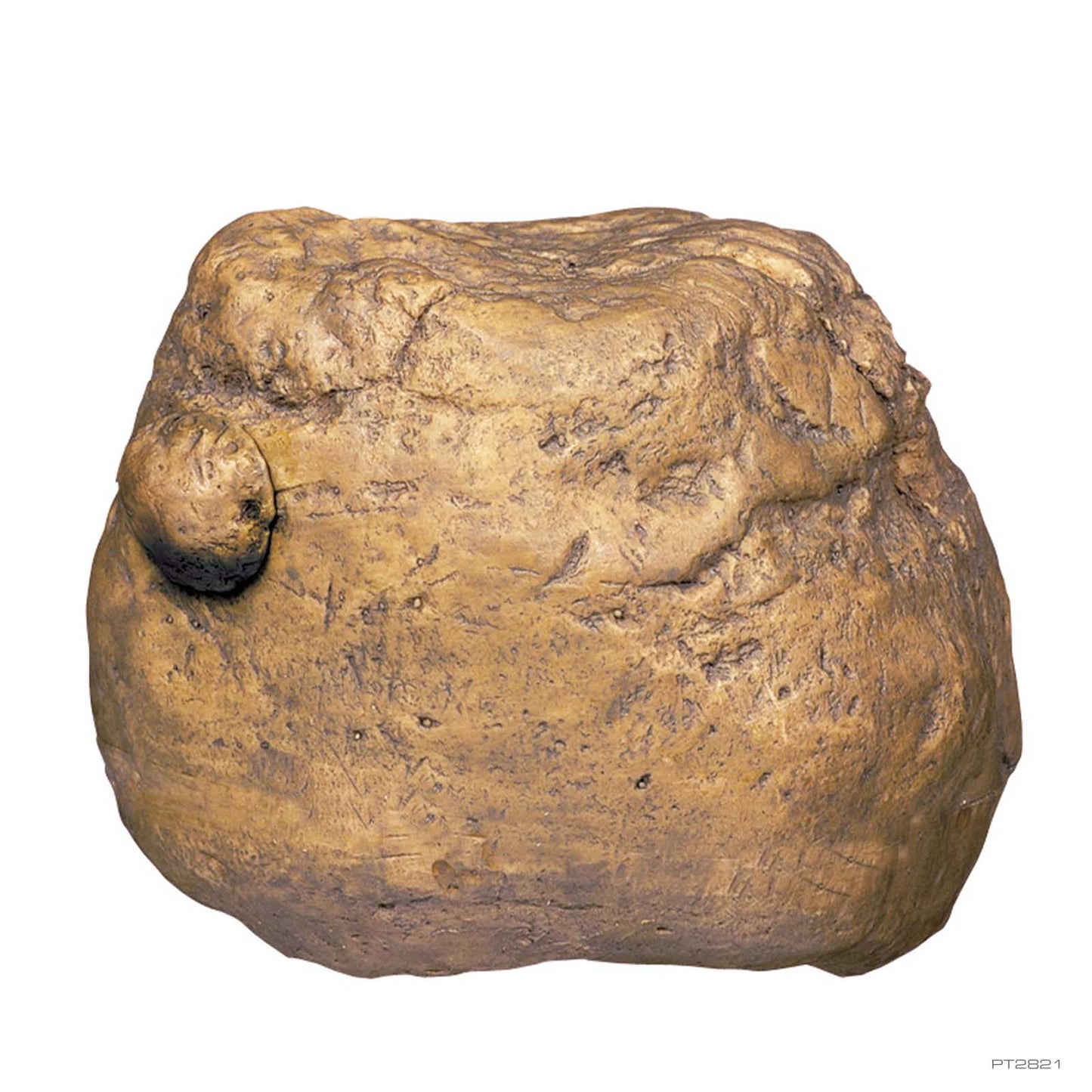 Exo Terra Feeding Rock – Futterstein für Grillen