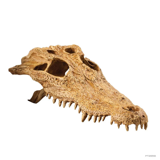 Exo Terra Crocodile Skull Versteck