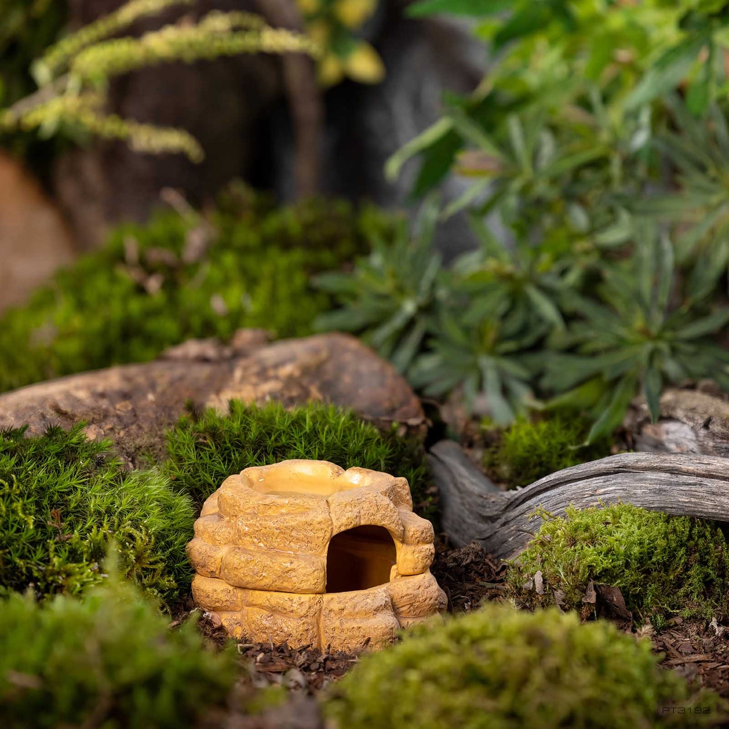 Exo Terra Big Rock – Feuchtigkeitsspeichernde Keramik-Höhle