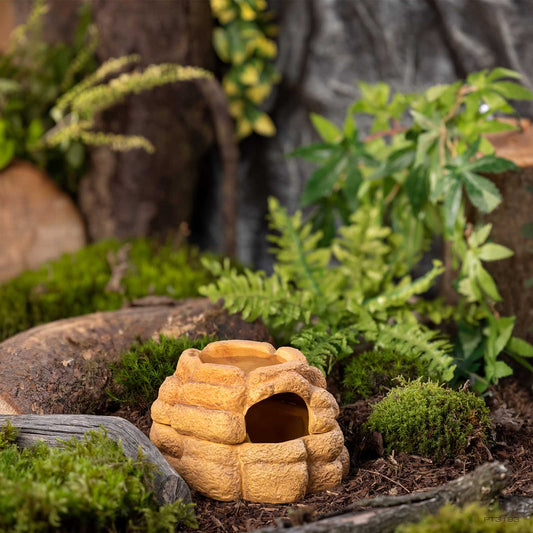 Exo Terra Big Rock – Feuchtigkeitsspeichernde Keramik-Höhle