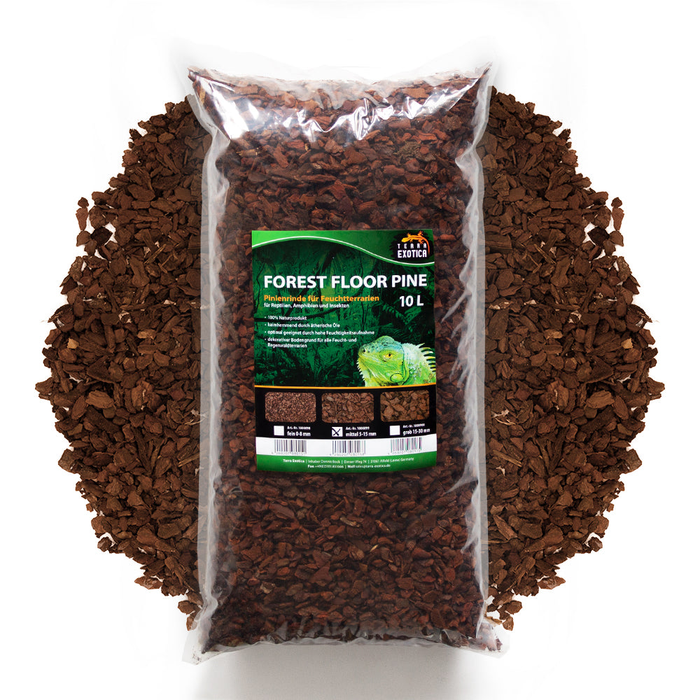 Terra Exotica Forest Floor Pine – Mittel