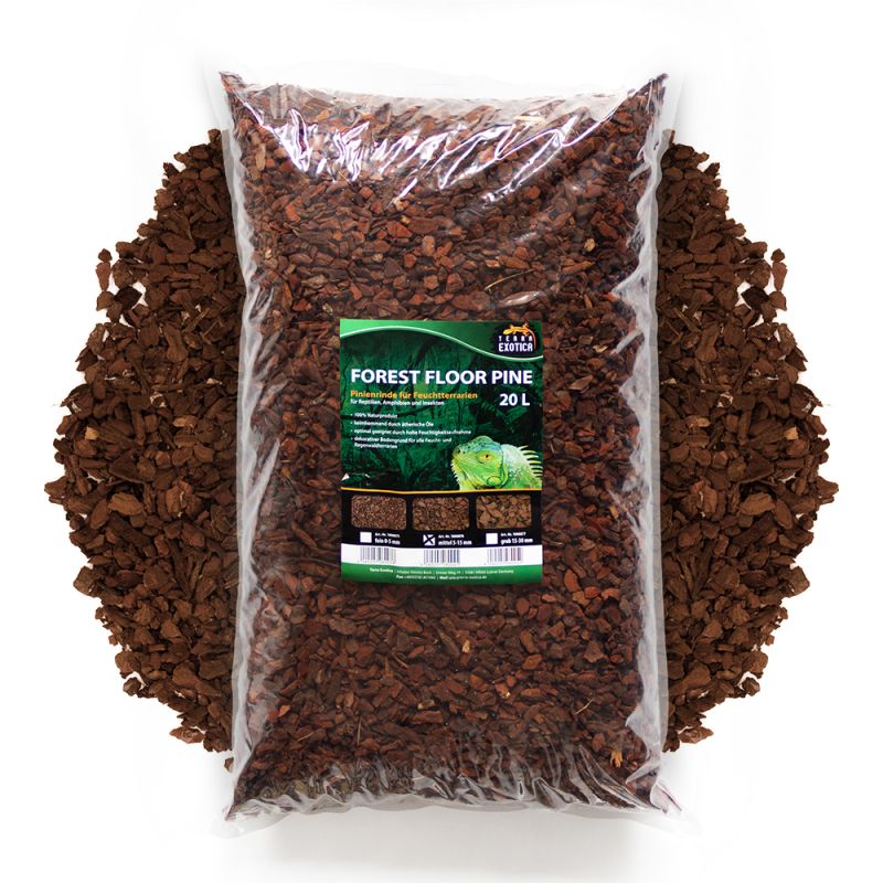 Terra Exotica Forest Floor Pine – Mittel