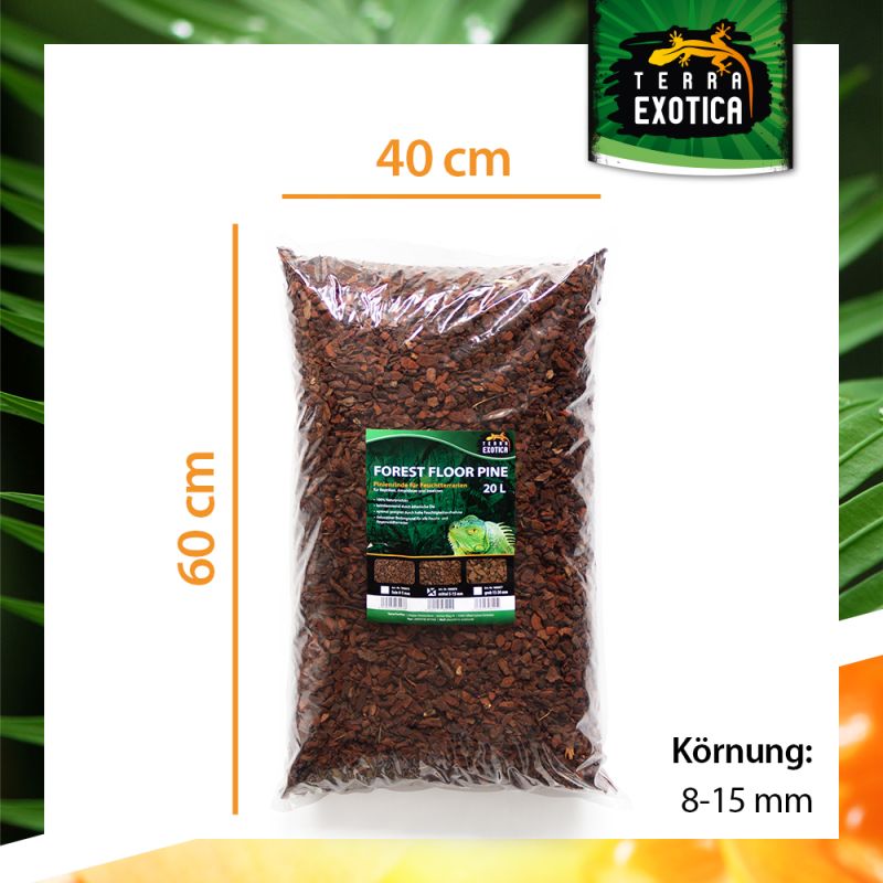 Terra Exotica Forest Floor Pine – Mittel