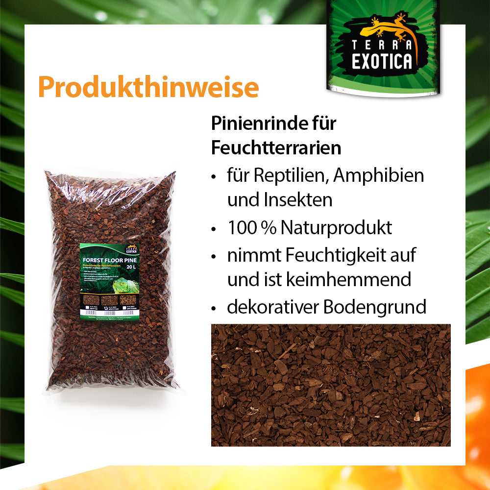 Terra Exotica Forest Floor Pine – Mittel