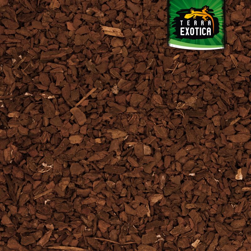 Terra Exotica Forest Floor Pine – Mittel