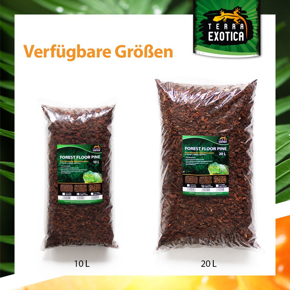 Terra Exotica Forest Floor Pine – Mittel