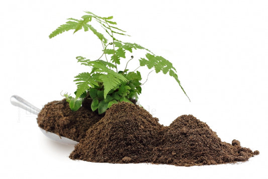 The Pet Factory Spider Ground – 2,5 kg Spezialbodengrund für Vogelspinnen