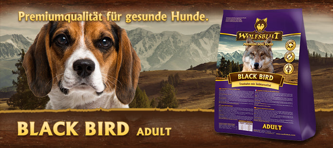 Wolfsblut Adult Black Bird Adult Trockenfutter mit Truthahn und Süßkartoffel
