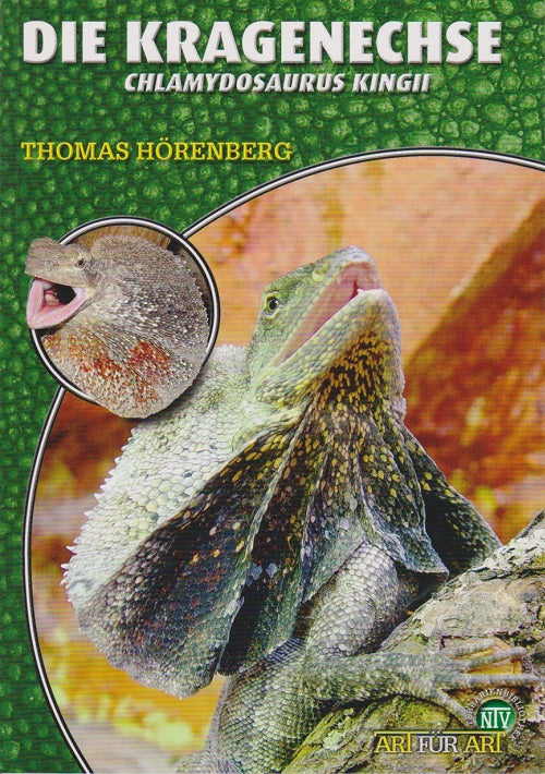 NTV Die Kragenechse Chlamydosaurus kingii