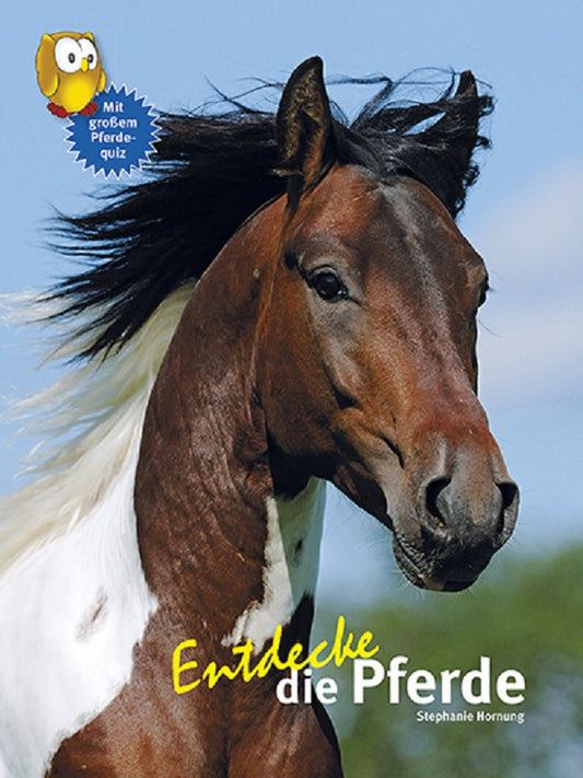 NTV Entdecker Buch für Kinder Entdecke die Pferde von Stephanie Hornung