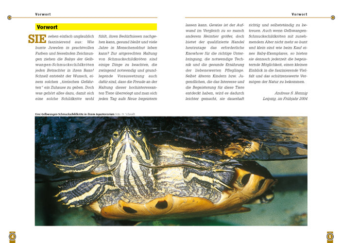 NTV Die Gelbwangen-Schmuckschildkröte Trachemys scripta scripta