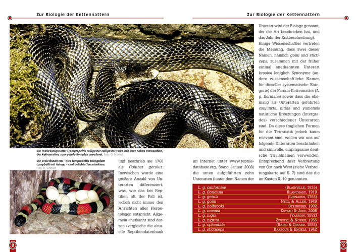 NTV Die Kettennatter Lampropeltis getula
