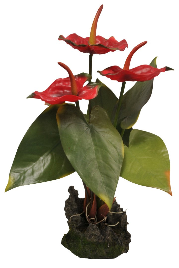 Lucky Reptile Jungle Plants – Anthurie, rot, ca. 35 cm