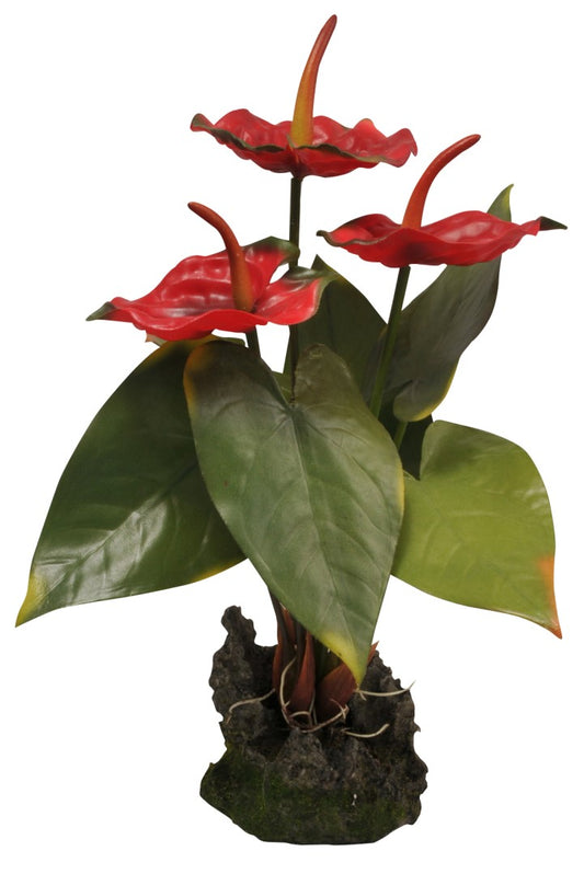 Lucky Reptile Jungle Plants – Anthurie, rot, ca. 35 cm
