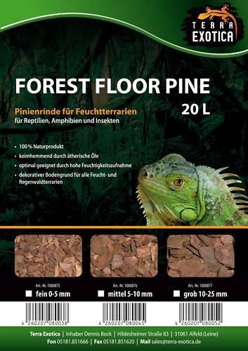 Terra Exotica Forest Floor Pine – Mittel