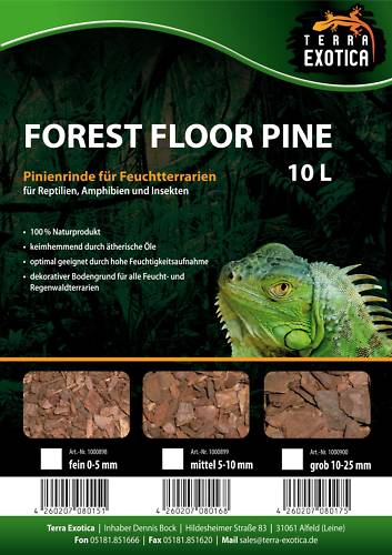Terra Exotica Forest Floor Pine – Mittel