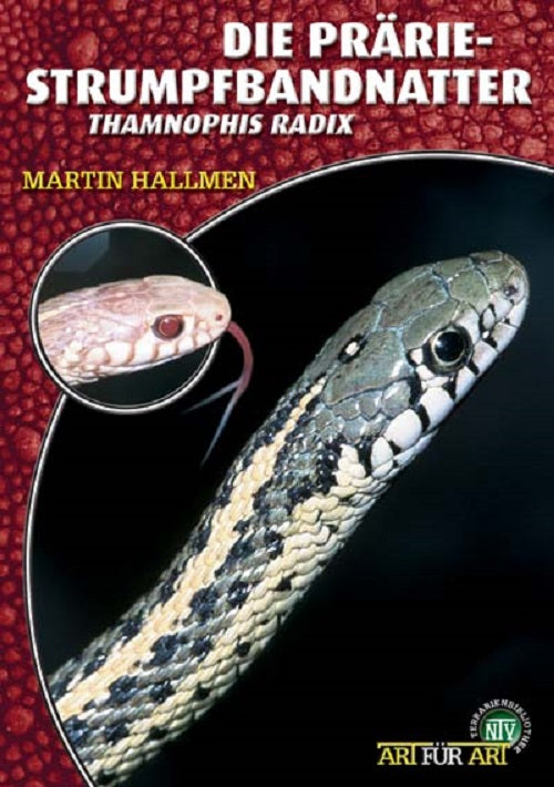 NTV Die Prärie-Strumpfbandnatter Thamnophis radix