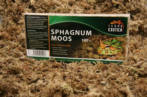 Terra Exotica Sphagnum Moos 100g
