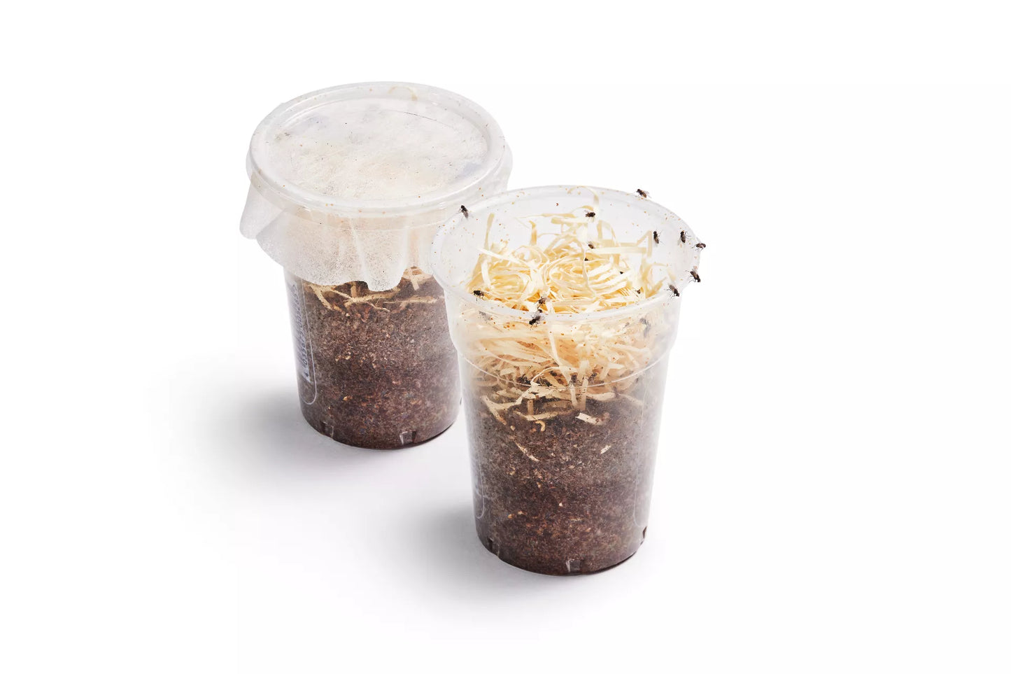 Terfly Fliegen 500ml