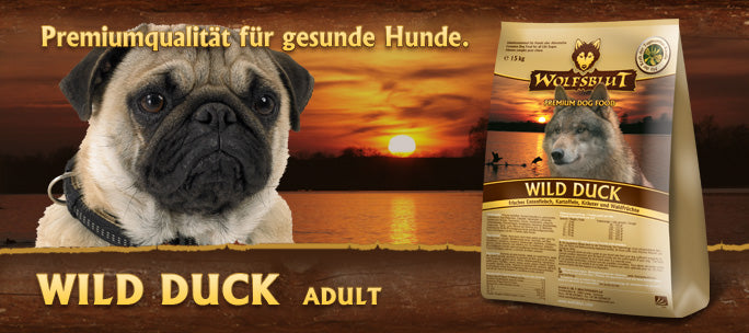 Wolfsblut Adult Wild Duck Wild Duck Adult Trockenfutter mit Ente und Kartoffel
